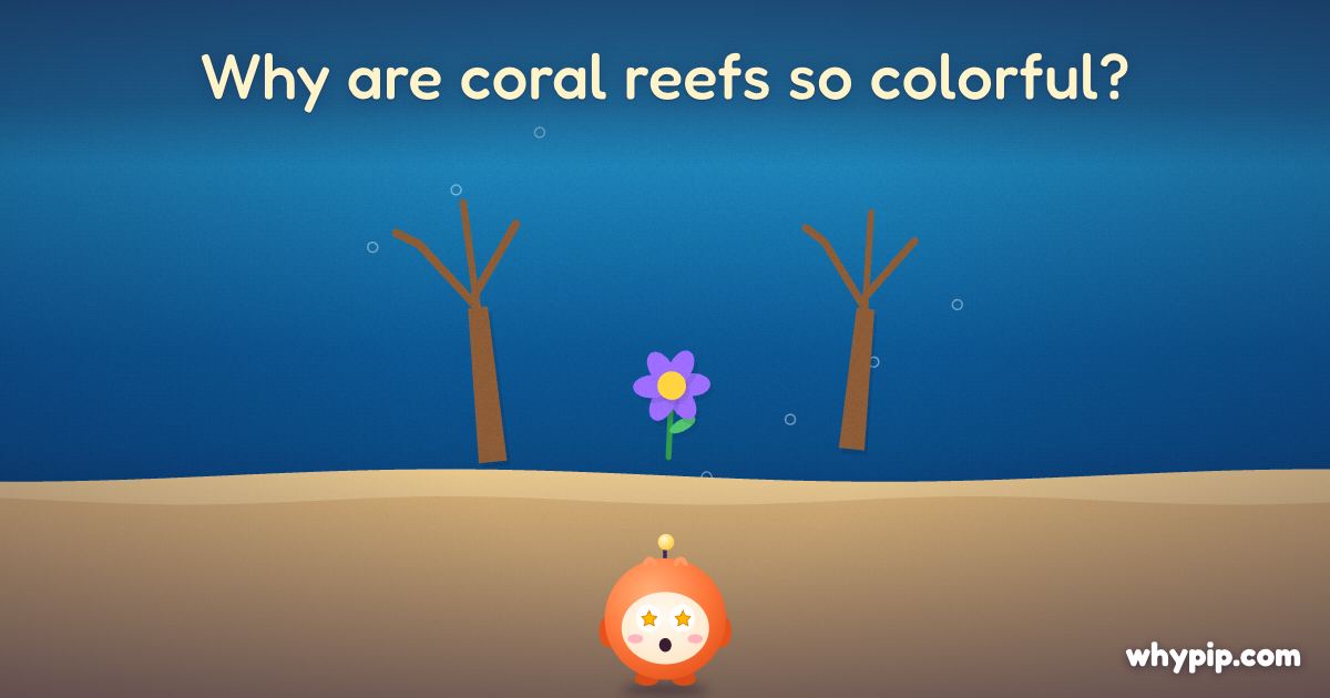 Pip’s picture for “Why are coral reefs so colorful?”
