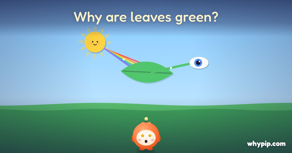 Pip’s picture for “Why are leaves green?”