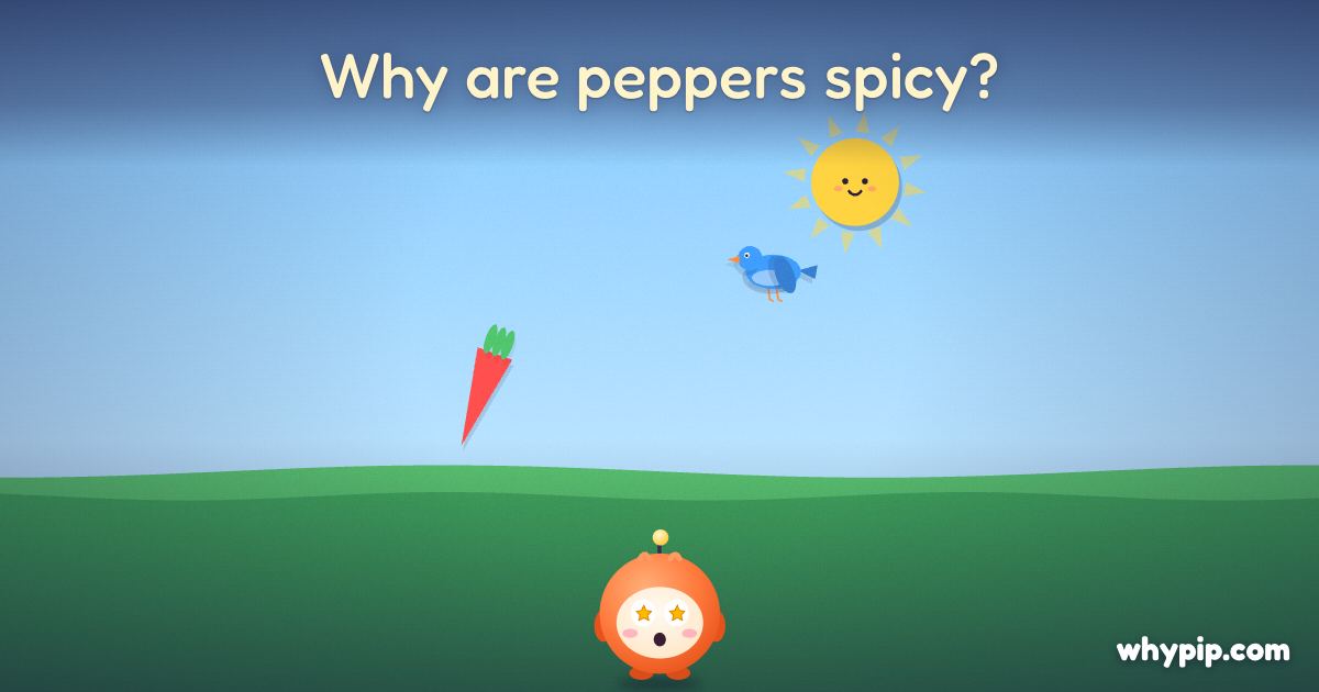 Pip’s picture for “Why are peppers spicy?”