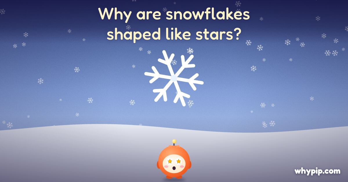 Pip’s picture for “Why are snowflakes shaped like stars?”