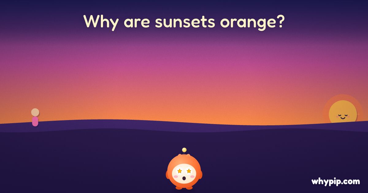 Pip’s picture for “Why are sunsets orange?”