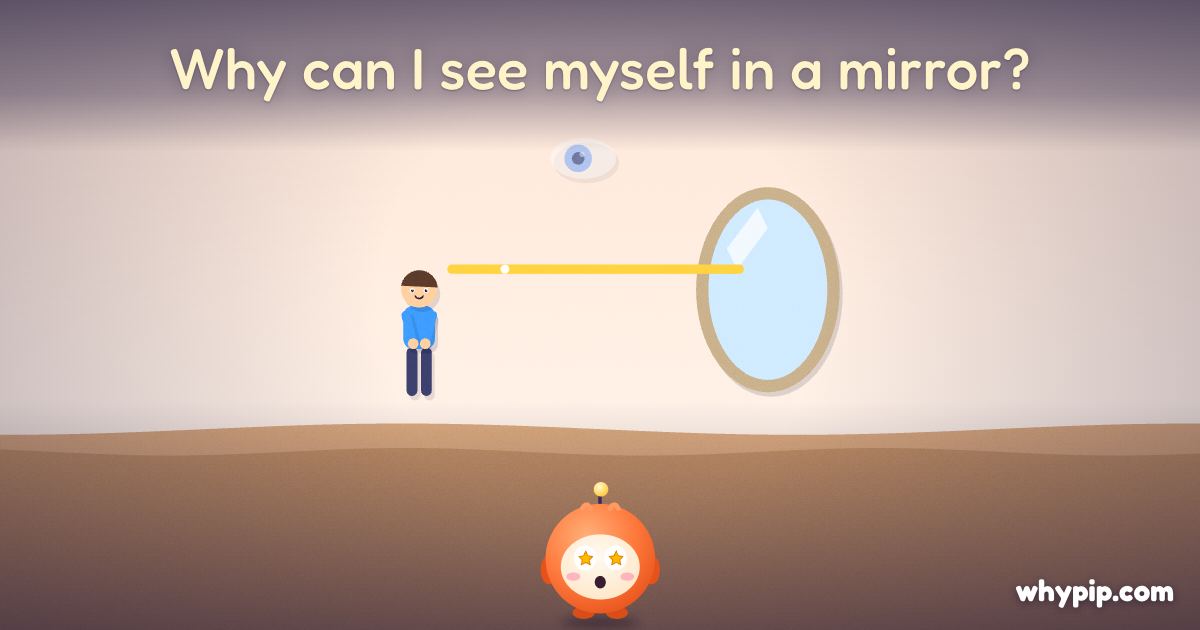 Pip’s picture for “Why can I see myself in a mirror?”