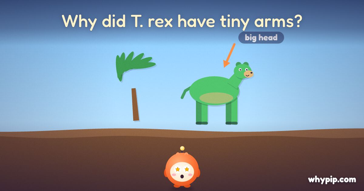 Pip’s picture for “Why did T. rex have tiny arms?”