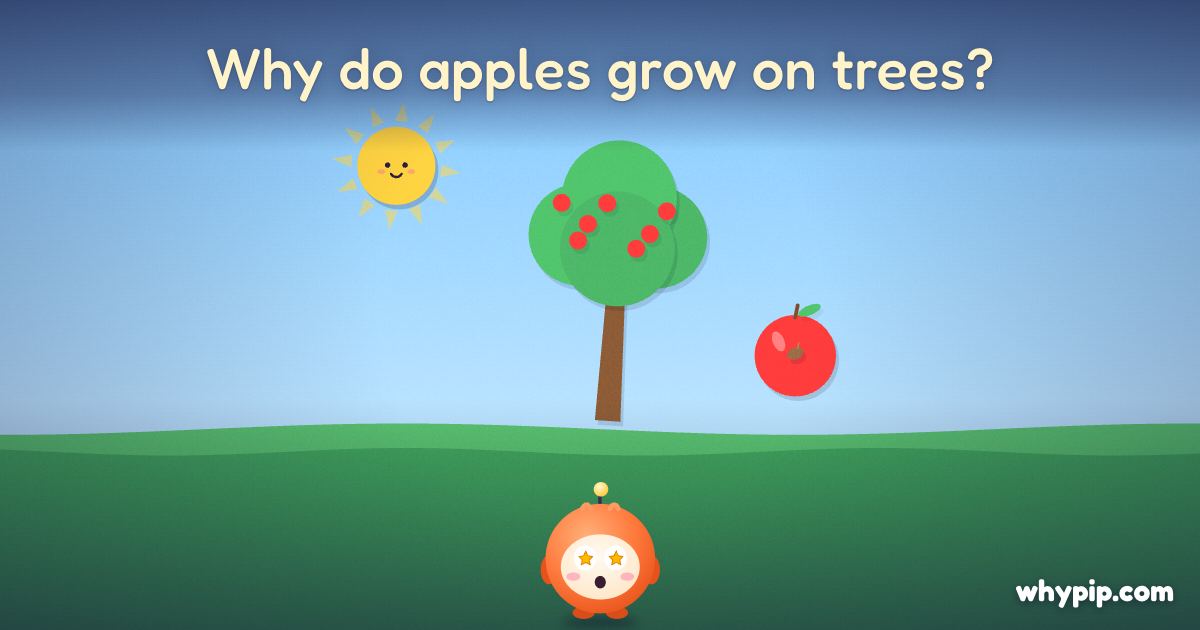 Pip’s picture for “Why do apples grow on trees?”