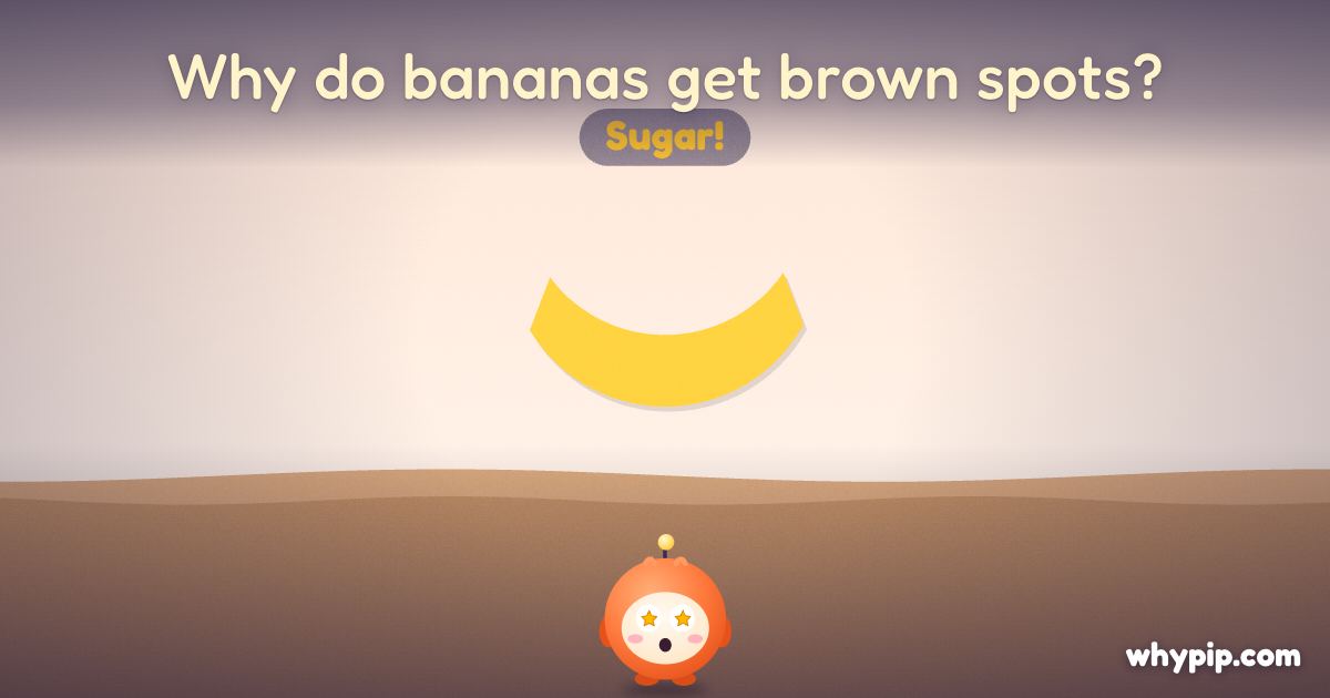 Pip’s picture for “Why do bananas get brown spots?”