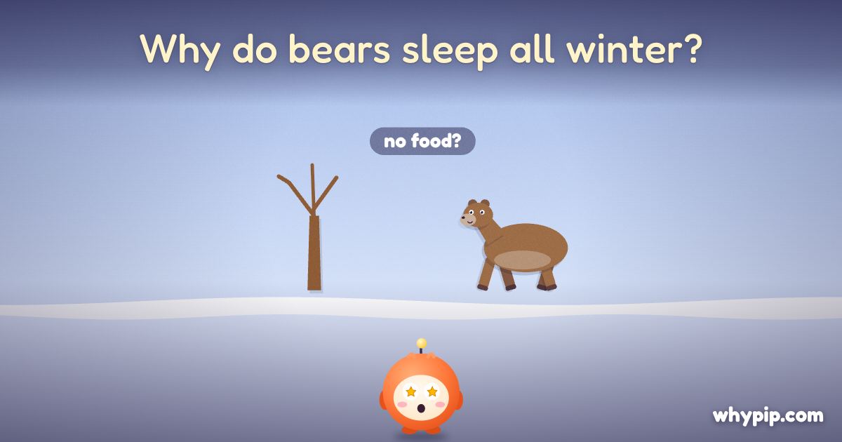 Pip’s picture for “Why do bears sleep all winter?”