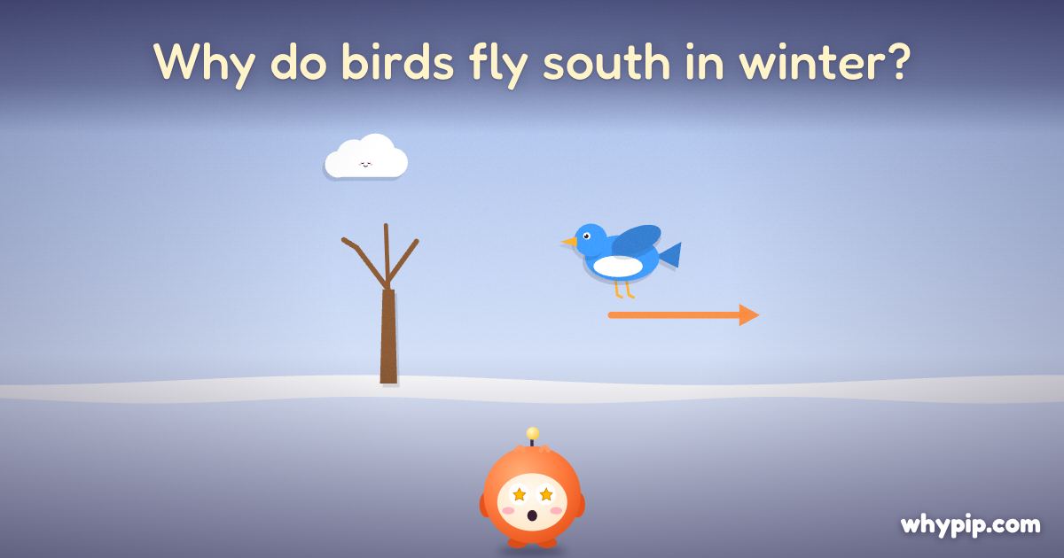 Pip’s picture for “Why do birds fly south in winter?”