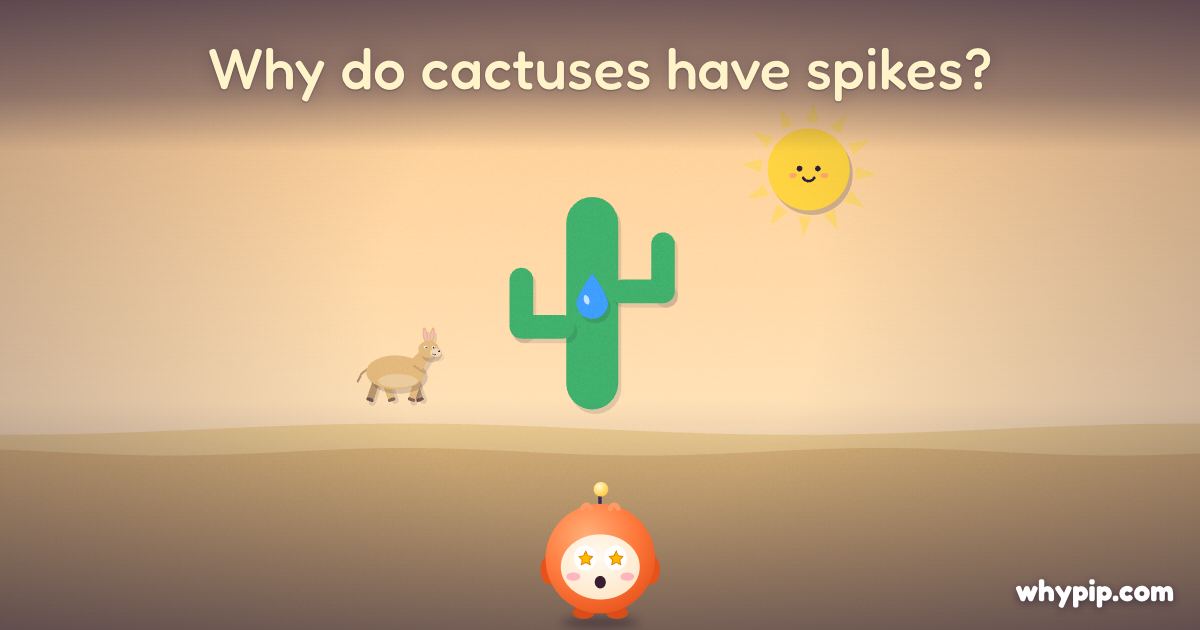 Pip’s picture for “Why do cactuses have spikes?”