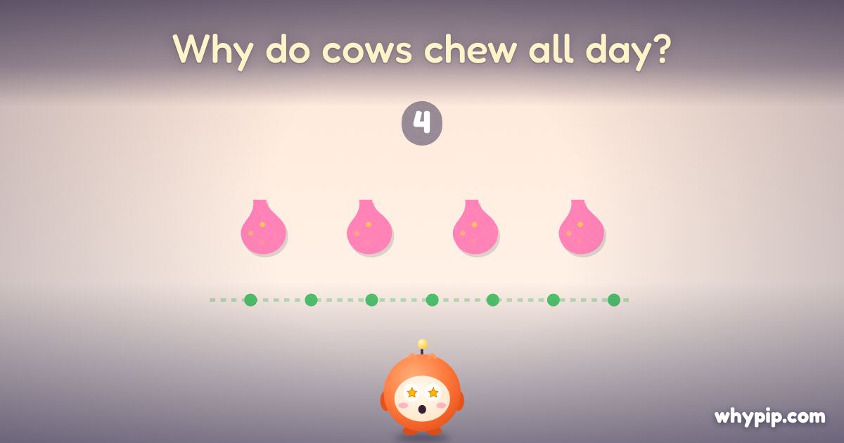 Pip’s picture for “Why do cows chew all day?”