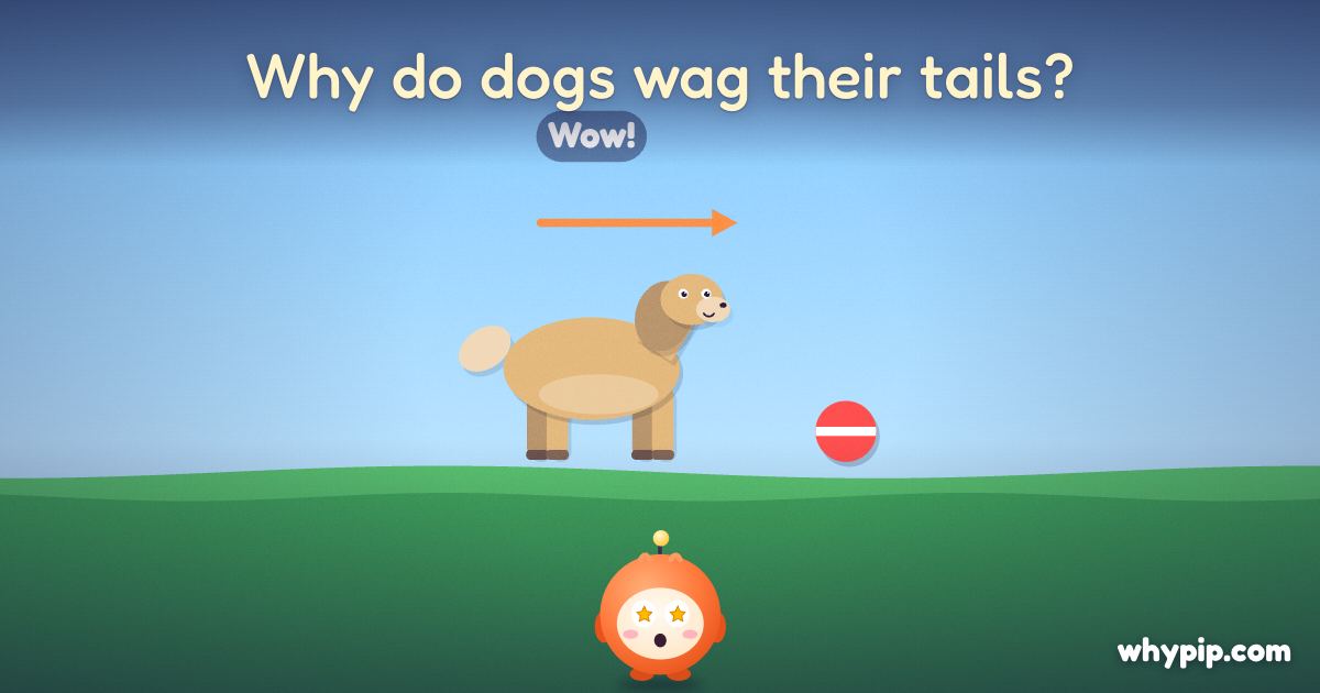 Pip’s picture for “Why do dogs wag their tails?”