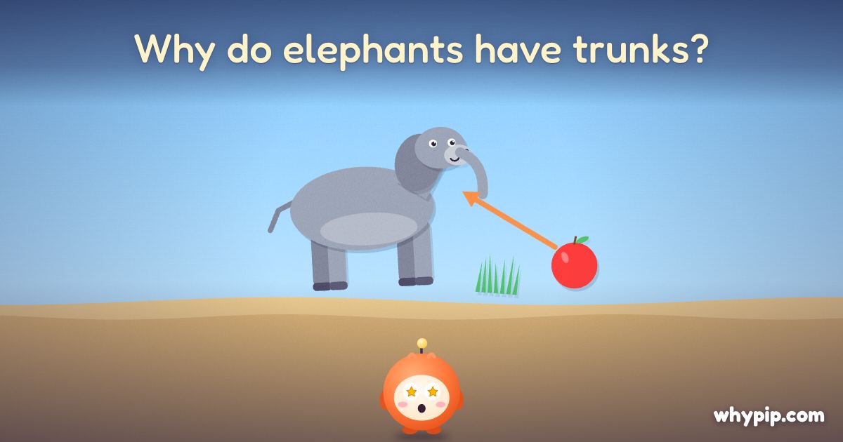 Pip’s picture for “Why do elephants have trunks?”