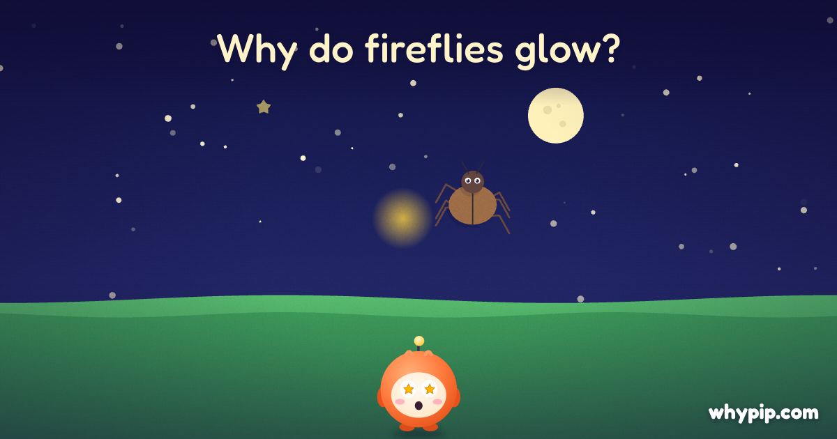 Pip’s picture for “Why do fireflies glow?”