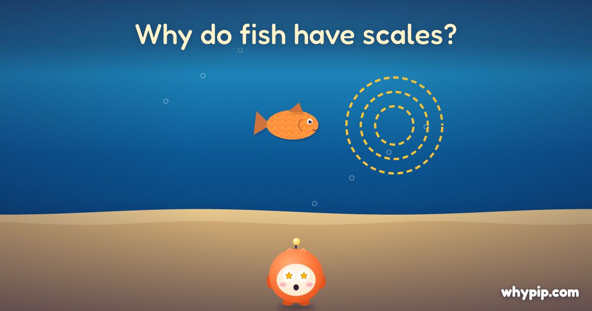 Pip’s picture for “Why do fish have scales?”