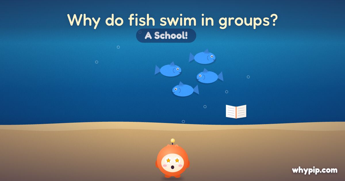 Pip’s picture for “Why do fish swim in groups?”