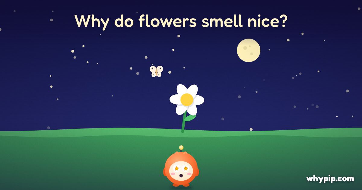 Pip’s picture for “Why do flowers smell nice?”