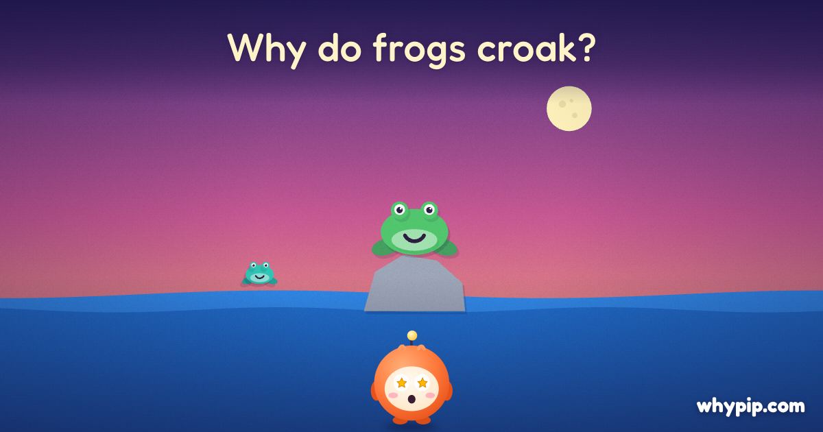 Pip’s picture for “Why do frogs croak?”