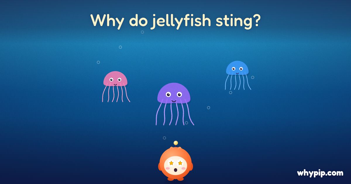 Pip’s picture for “Why do jellyfish sting?”