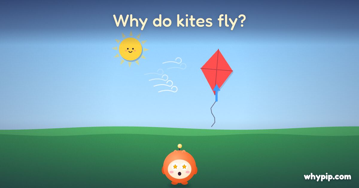 Pip’s picture for “Why do kites fly?”