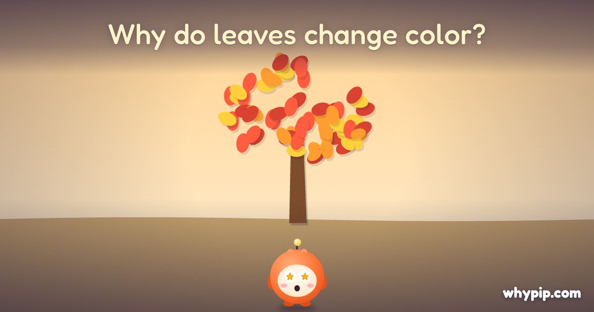 Pip’s picture for “Why do leaves change color?”