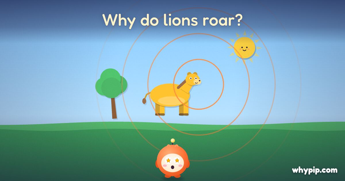 Pip’s picture for “Why do lions roar?”