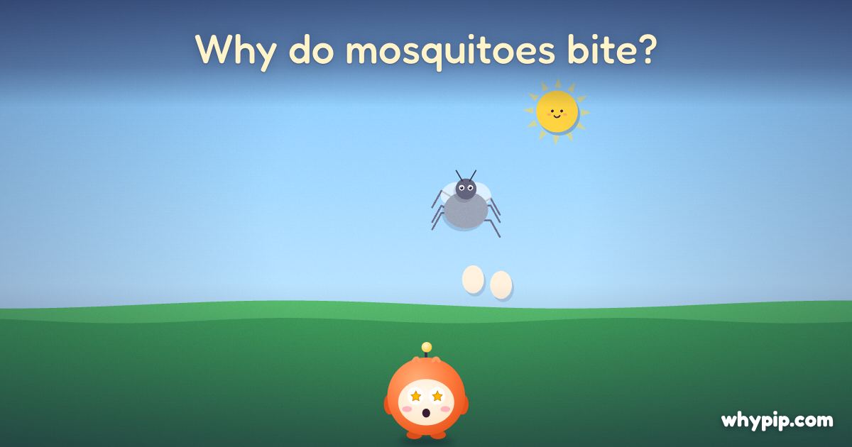 Pip’s picture for “Why do mosquitoes bite?”