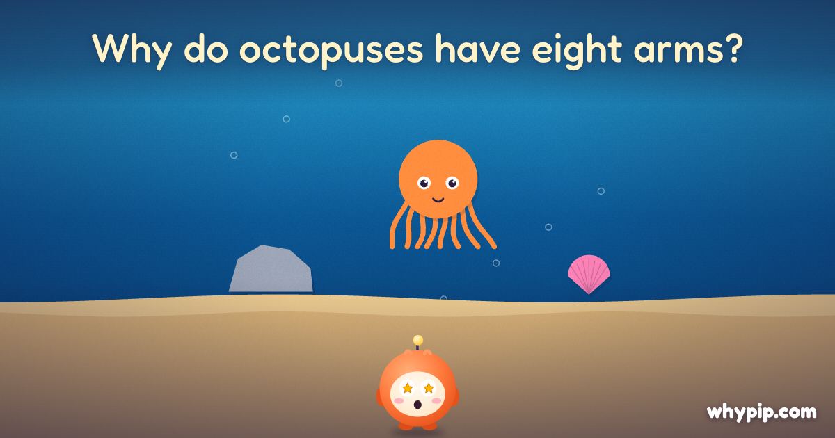 Pip’s picture for “Why do octopuses have eight arms?”