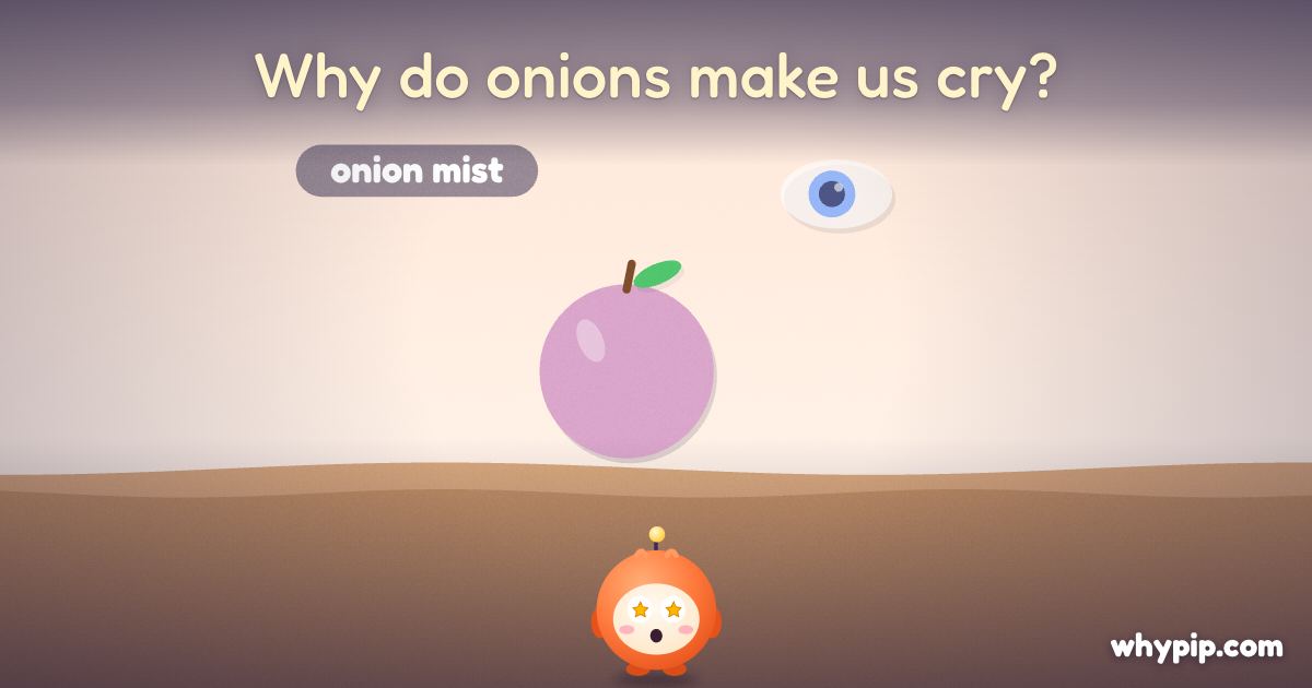 Pip’s picture for “Why do onions make us cry?”