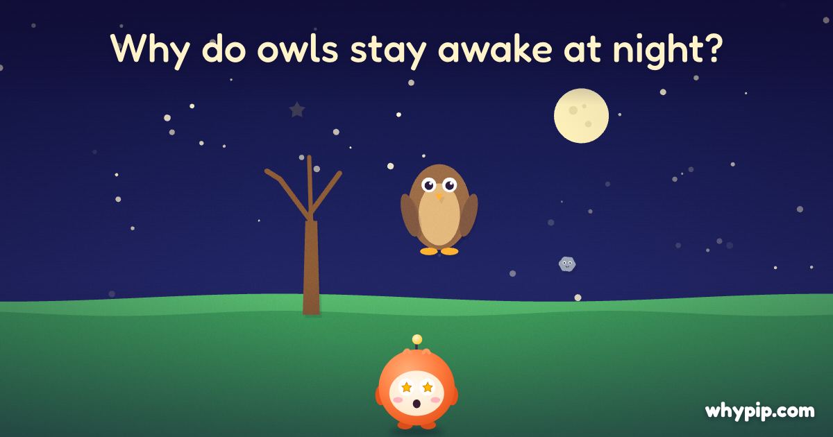 Pip’s picture for “Why do owls stay awake at night?”