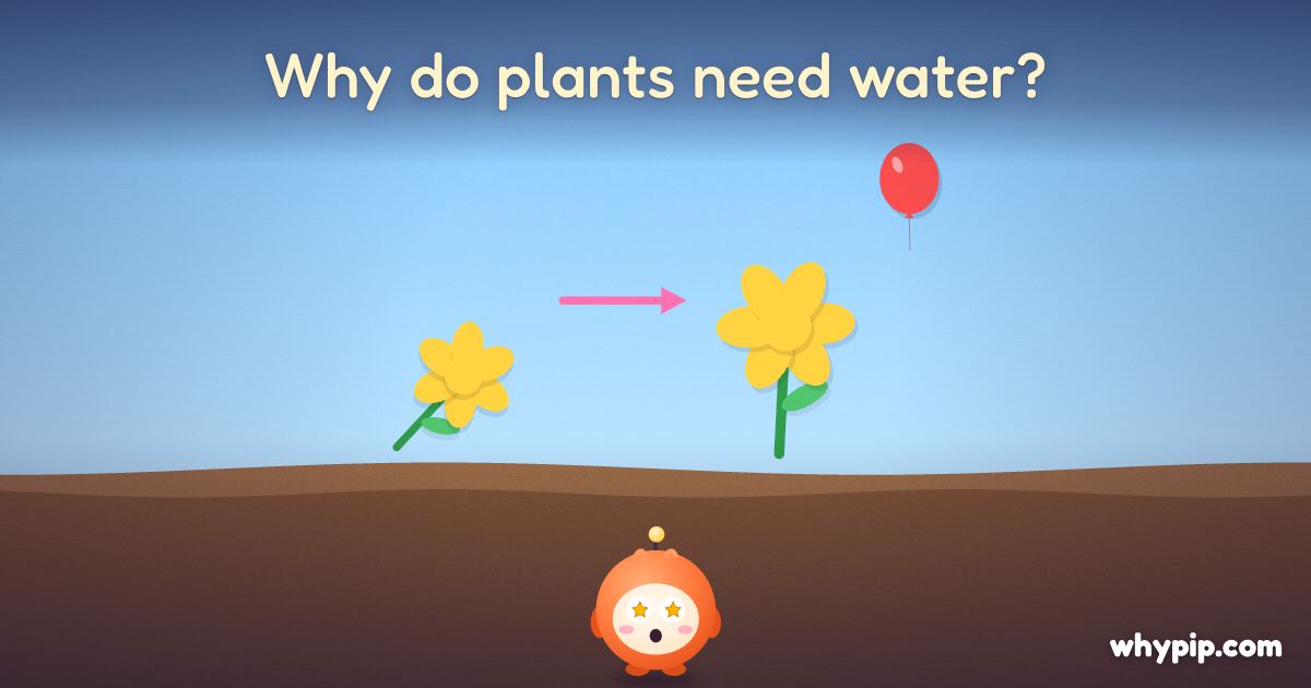 Pip’s picture for “Why do plants need water?”