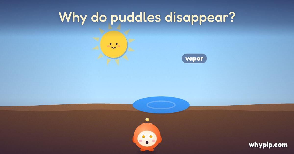 Pip’s picture for “Why do puddles disappear?”