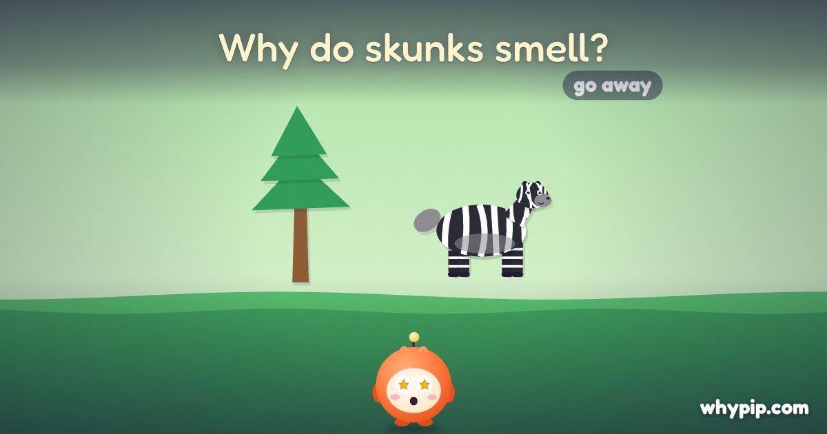 Pip’s picture for “Why do skunks smell?”