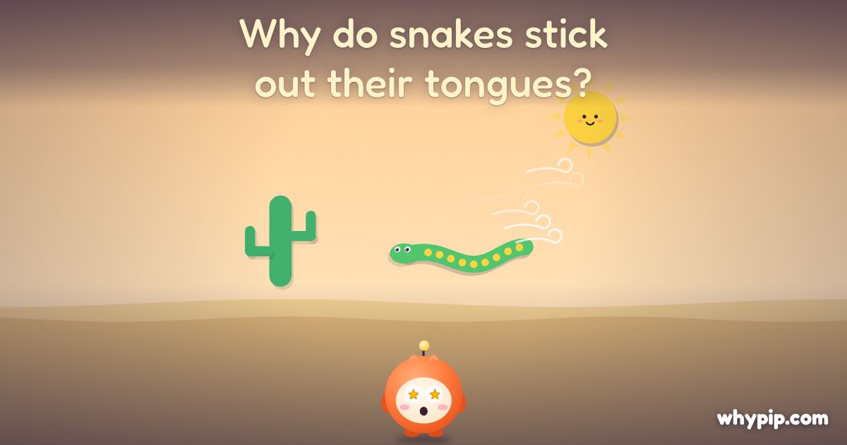 Pip’s picture for “Why do snakes stick out their tongues?”
