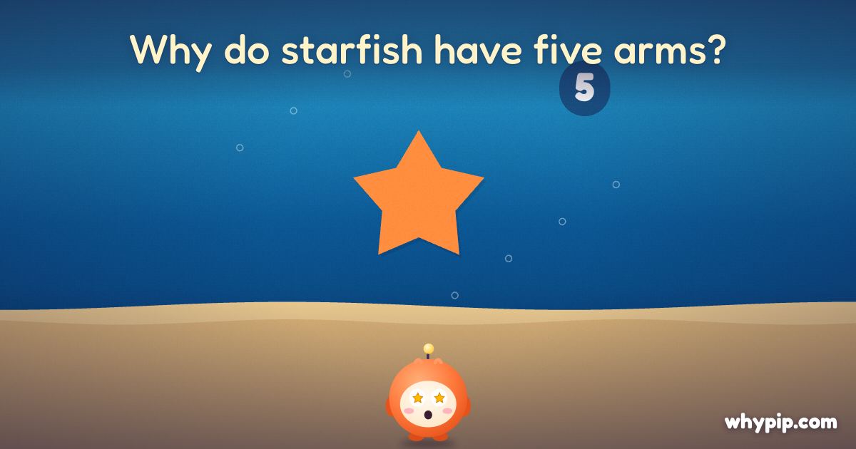 Pip’s picture for “Why do starfish have five arms?”