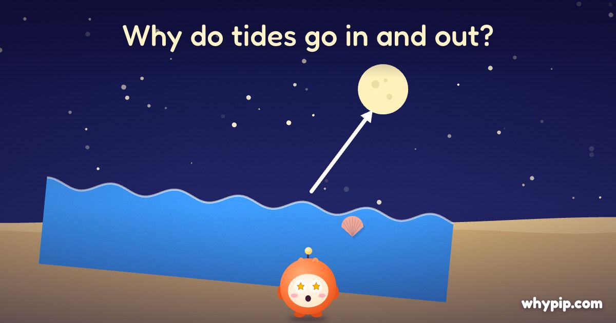 Pip’s picture for “Why do tides go in and out?”