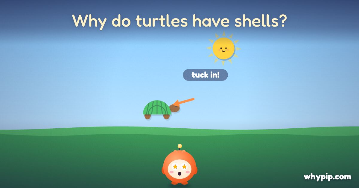 Pip’s picture for “Why do turtles have shells?”