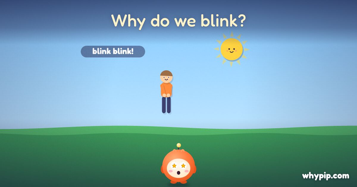 Pip’s picture for “Why do we blink?”