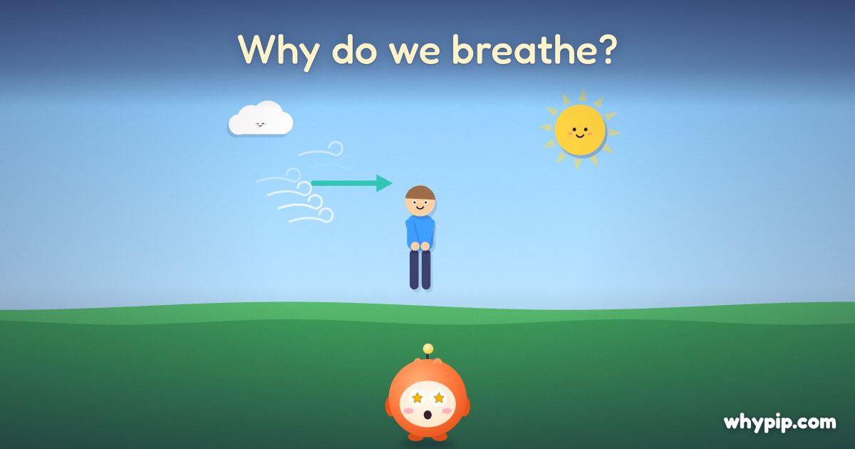 Pip’s picture for “Why do we breathe?”