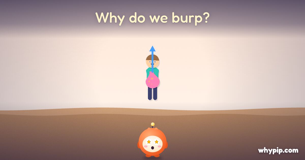 Pip’s picture for “Why do we burp?”