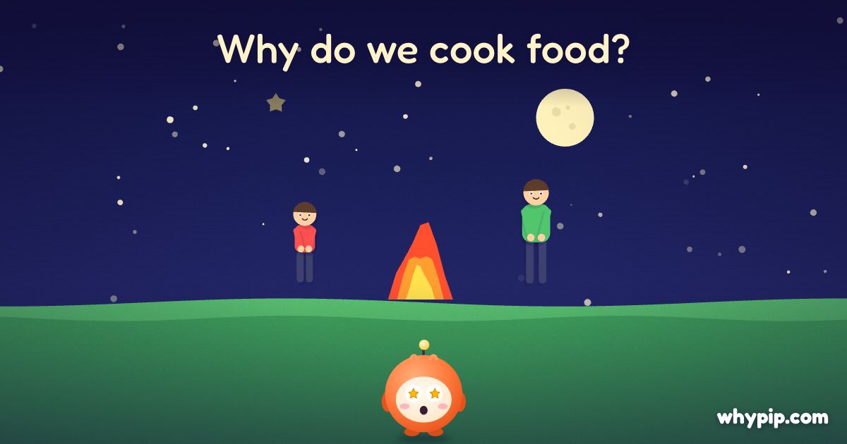 Pip’s picture for “Why do we cook food?”
