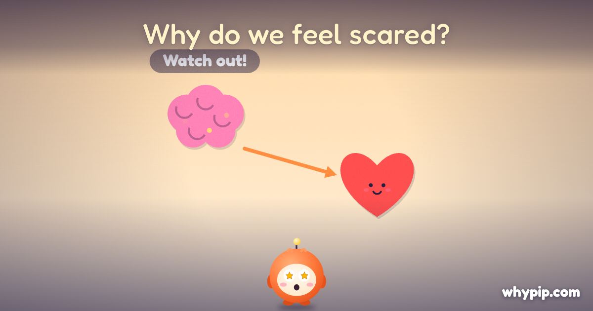 Pip’s picture for “Why do we feel scared?”