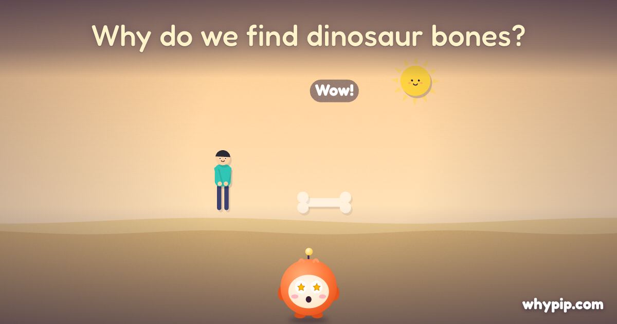 Pip’s picture for “Why do we find dinosaur bones?”
