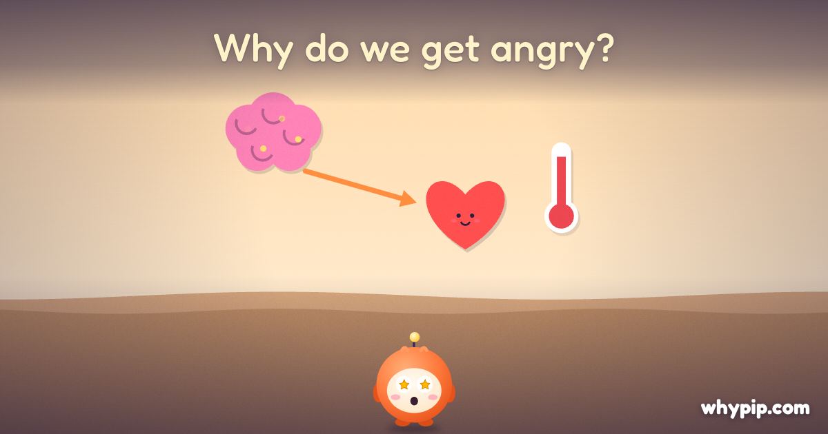 Pip’s picture for “Why do we get angry?”