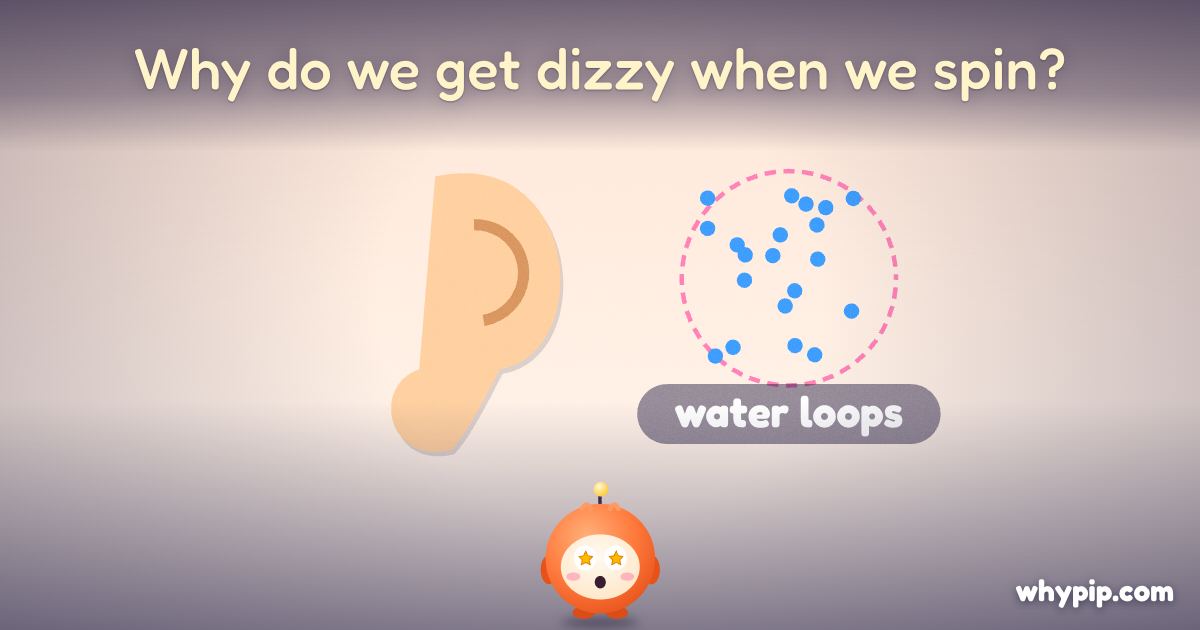 Pip’s picture for “Why do we get dizzy when we spin?”