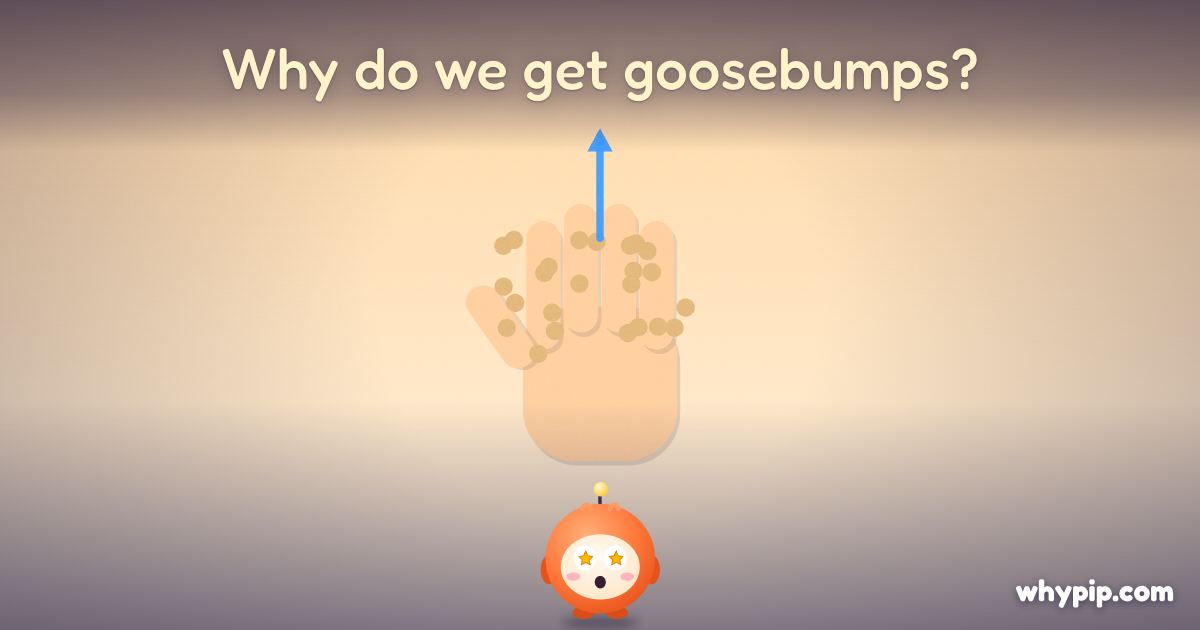 Pip’s picture for “Why do we get goosebumps?”