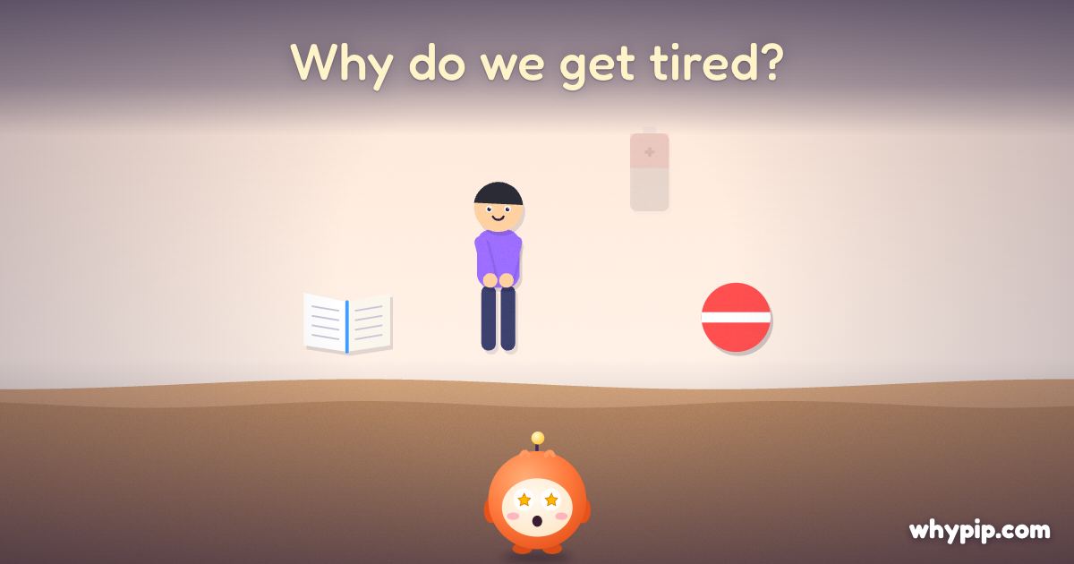 Pip’s picture for “Why do we get tired?”