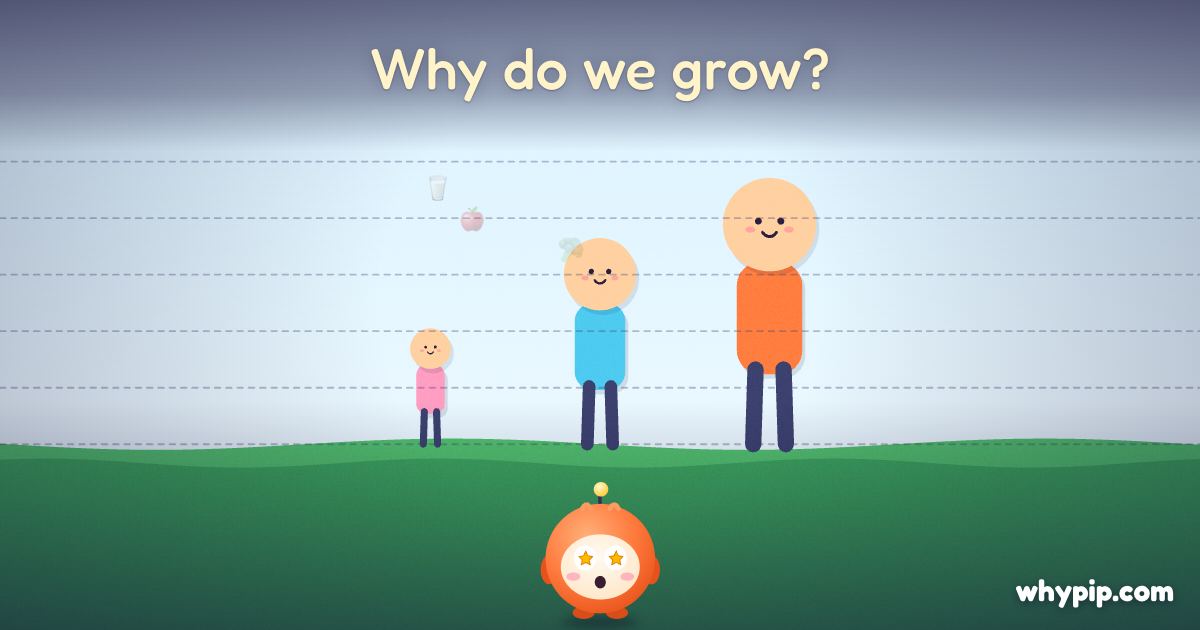 Pip’s picture for “Why do we grow?”