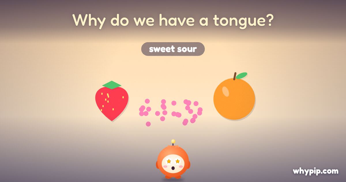 Pip’s picture for “Why do we have a tongue?”