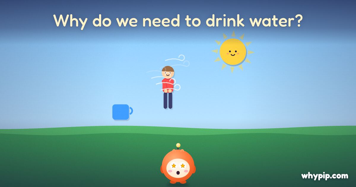 Pip’s picture for “Why do we need to drink water?”