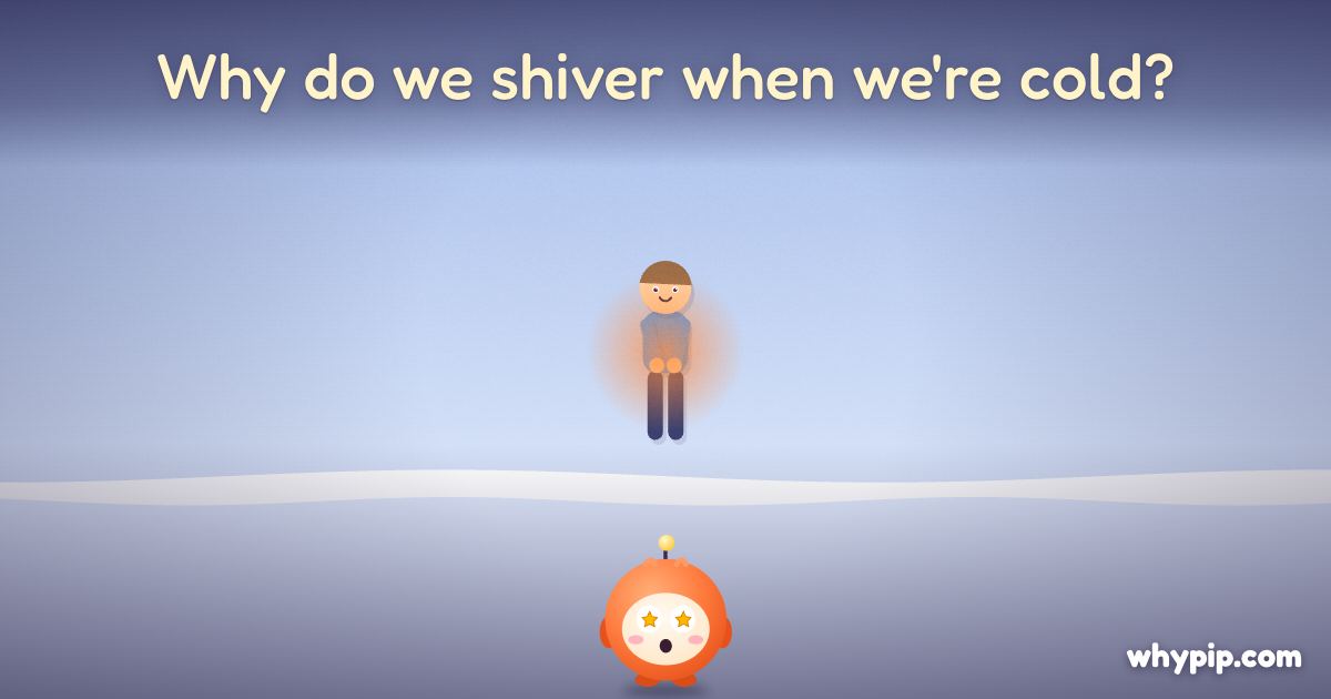 Pip’s picture for “Why do we shiver when we're cold?”