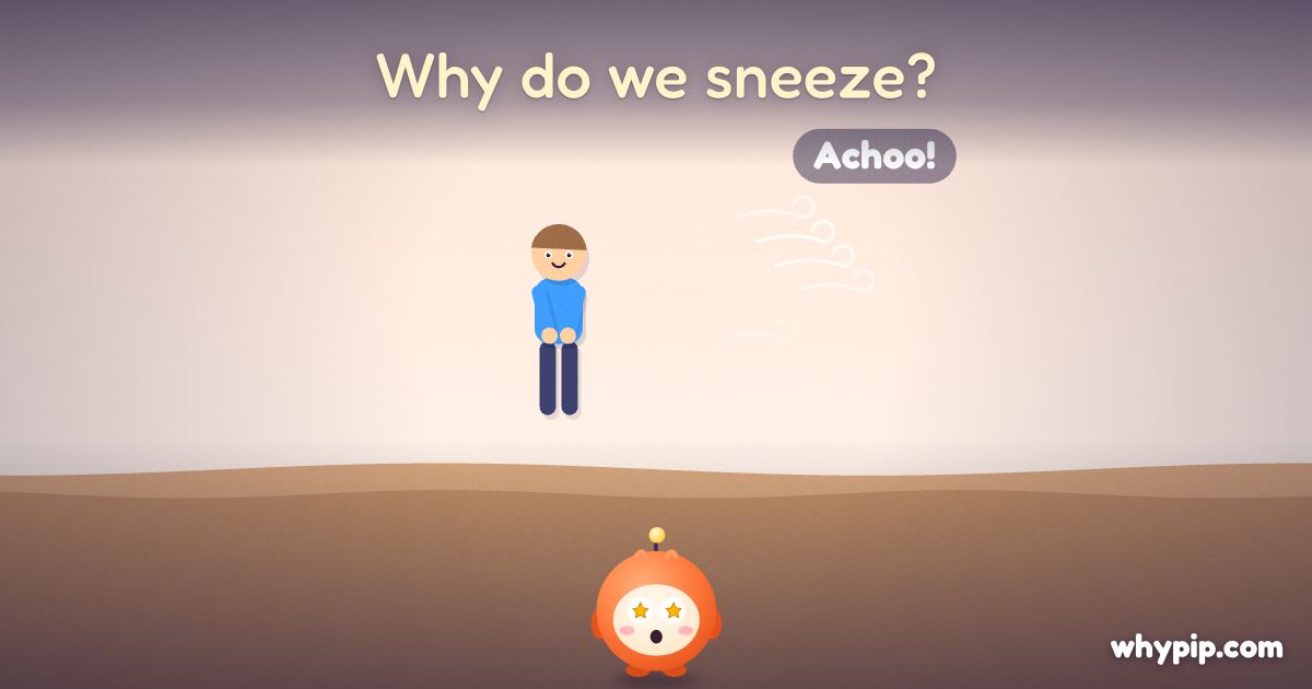 Pip’s picture for “Why do we sneeze?”